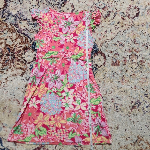 Lilly Pulitzer Cherry Dress Azalea Pink Mini Mariposa Size Medium - Picture 15 of 16